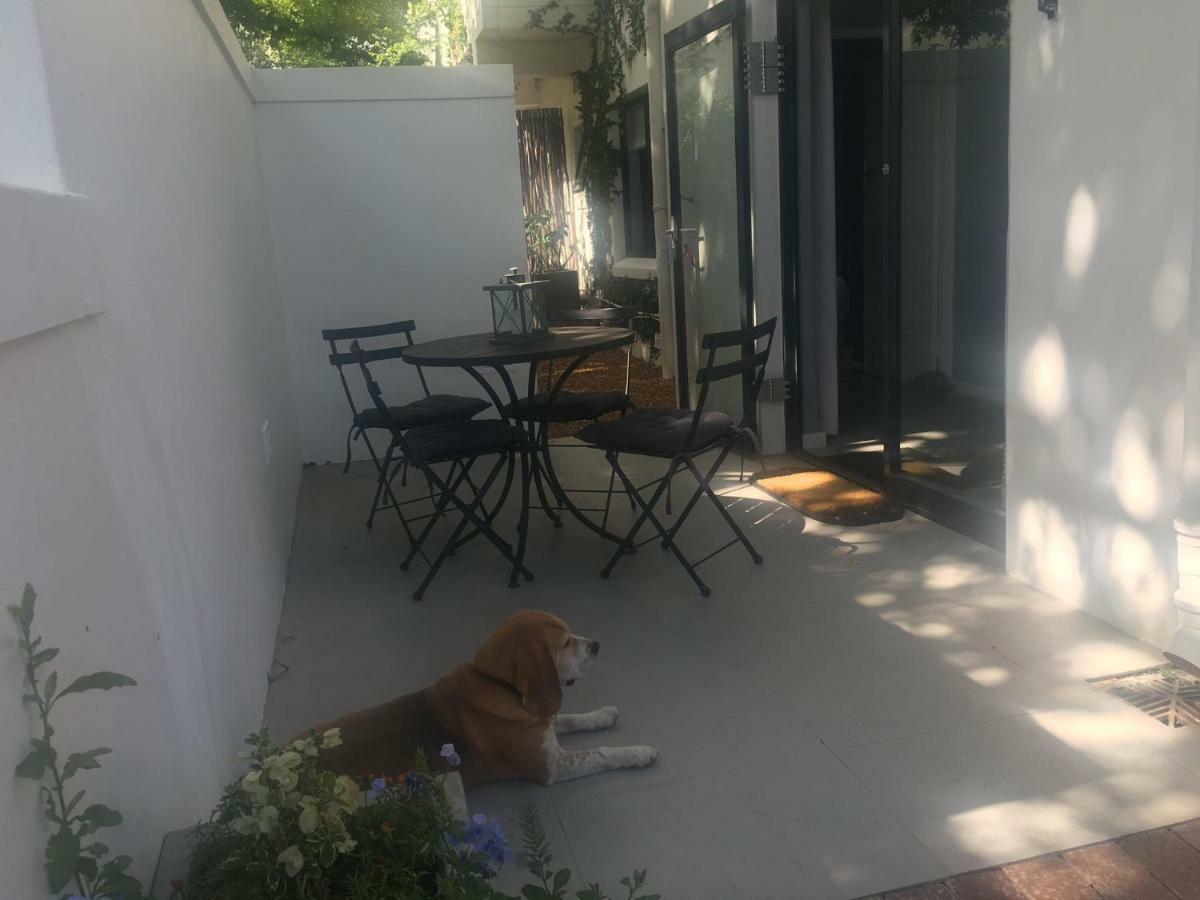 Table Mountain Guest Cottage With Private Garden 케이프타운 외부 사진